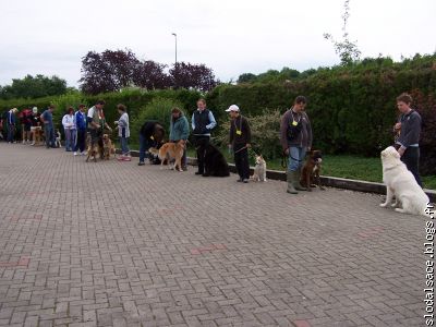 à l'entrainement  "des chiens policiers" pourquoi pas